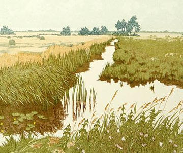 engineering the environment and imagining nature in the early modern world