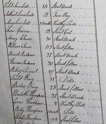 Figure 2 - Detail including Boston and Violet King’s entries from ‘The Book of Negroes’, 1783