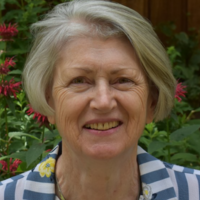 ann m carlos