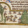 Detail of a miniature of bees collecting nectar and returning to their hive, from a bestiary with theological texts, England, c. 1200 – c. 1210,